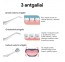 Suuloputusvahend OSOM Oral Care Silver OSOMORALWF128SILV hõbedane
