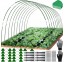 Kasvuhoone puukool taimedele standard 2,5 x 5,5 m 8 rõngast aiapeenardele