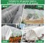 Kasvuhoone puukool taimedele standard 2,5 x 5,5 m 8 rõngast aiapeenardele
